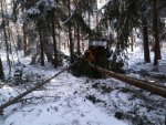 09.02.2013 001.jpg