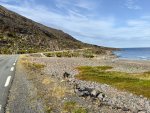 IMG_6699.jpeg