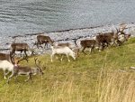 IMG_6760.jpeg