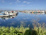 IMG_6991.jpeg
