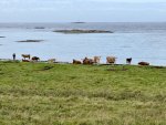 IMG_7001.jpeg