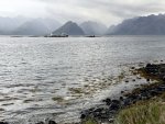 IMG_7005.jpeg