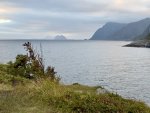 IMG_7153.jpeg