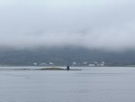 IMG_7343.jpeg