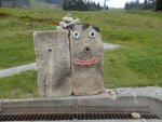 DSC01031.jpg