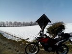 DSCF8113.jpg