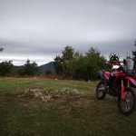 IMG_20241003_125458.jpg