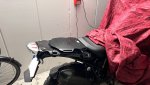IMG_7773.JPEG