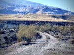 IMG_3677.jpeg