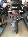 IMG_7473.jpeg