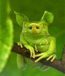 besonderer Frosch.jpg