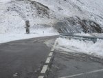 IMG_0911.jpg