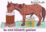 26794-das-geheimnis-vom-koelsch.jpg