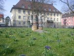 DSC00060.jpg