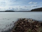 P1020116.jpg