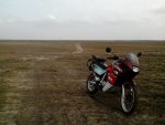 IMG_20130413_173305.jpg