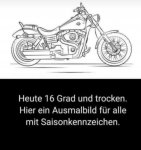 IMG_0127.jpeg