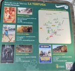 IMG_2003.jpeg