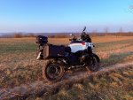 IMG_6669.jpeg