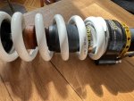 IMG_9985.jpeg