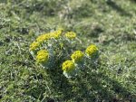 IMG_7567.jpeg