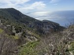 IMG_7588.jpeg