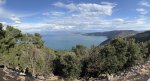IMG_7622.jpeg