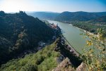 nature-1680110_1280.jpg