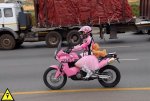 KTM rosa.jpg