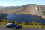 DSC_0016.jpg