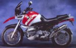 r1100gs.jpg