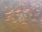 DSC05167.jpg