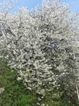 20130424_142407.jpg