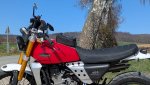 PXL_20250328_105824520.jpg