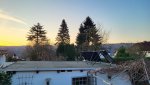 20250402_071844.jpg
