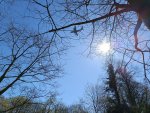 IMG_20250404_133035.jpg