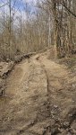20250405_112339.jpg