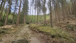 20250405_123058.jpg