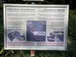 IMG_2444.jpeg