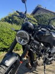 IMG_6835.jpeg