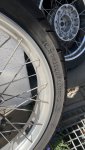 IMG_6042.jpeg