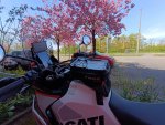 IMG_20250416_133747.jpg