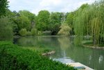 DSCF8759.JPG