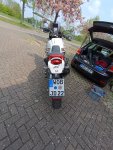 IMG_20250423_125241.jpg