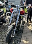 IMG_2330.jpeg