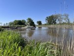 IMG_1660.jpeg