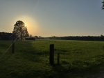 IMG_1225.jpeg