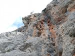 IMG_20250512_092638.jpg