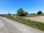 IMG_20250513_122631.jpg