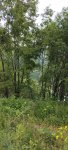 IMG_20250524_134952.jpg